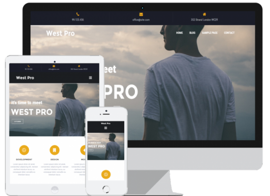 afbeelding template west-pro-header-700x520